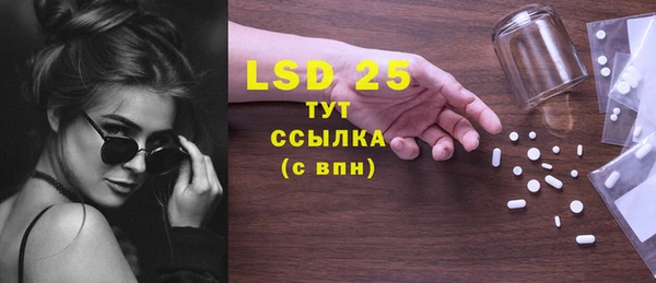 индика Тобольск