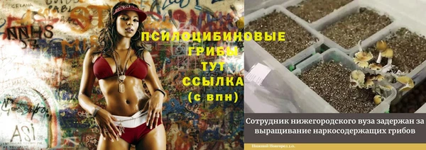 гидра Балабаново