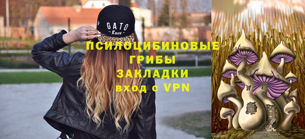МДПВ Балахна