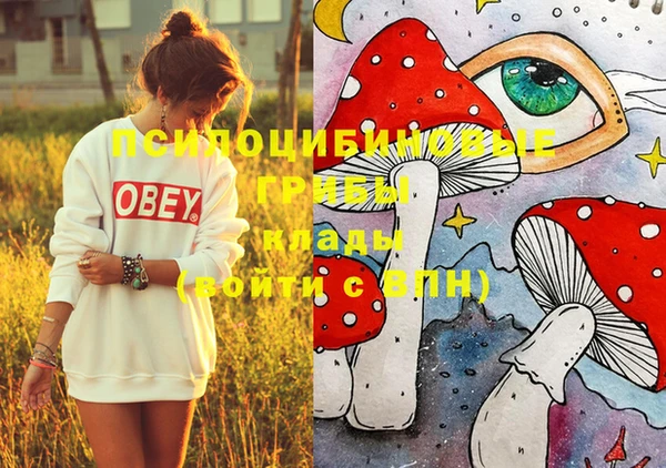 МДПВ Балахна