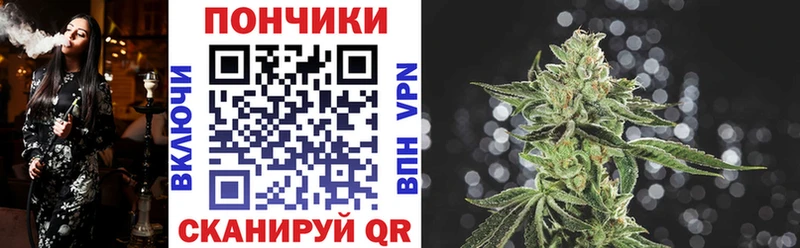 как найти наркотики  Калининец  Бошки марихуана AK-47 